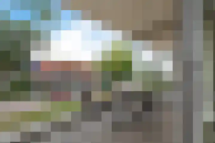 Vondelstraat 75 Maarssen thumbnail 24