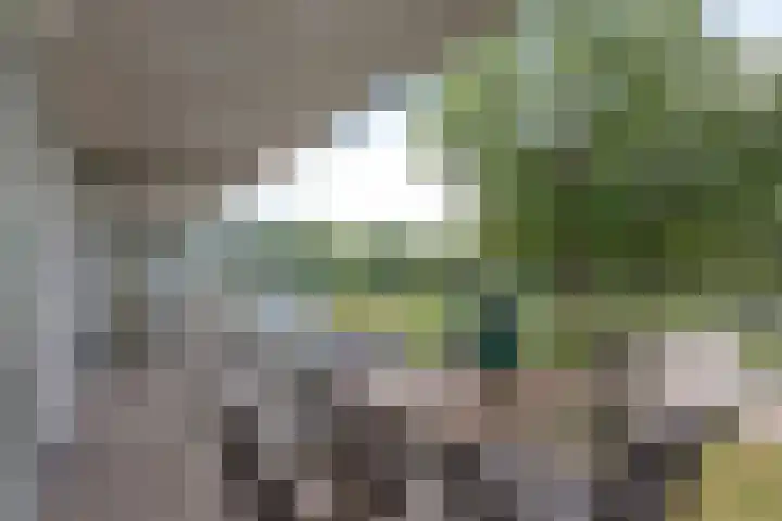 Vondelstraat 75 Maarssen thumbnail 25