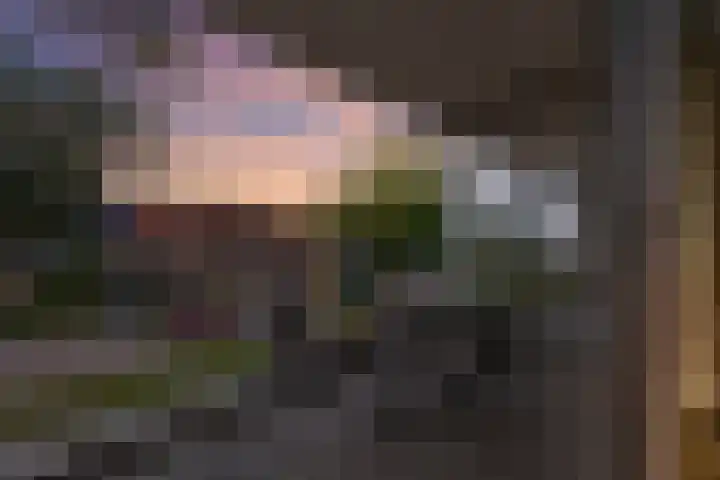 Vondelstraat 75 Maarssen thumbnail 26