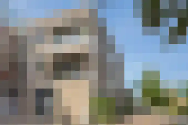 Vondelstraat 75 Maarssen thumbnail 29