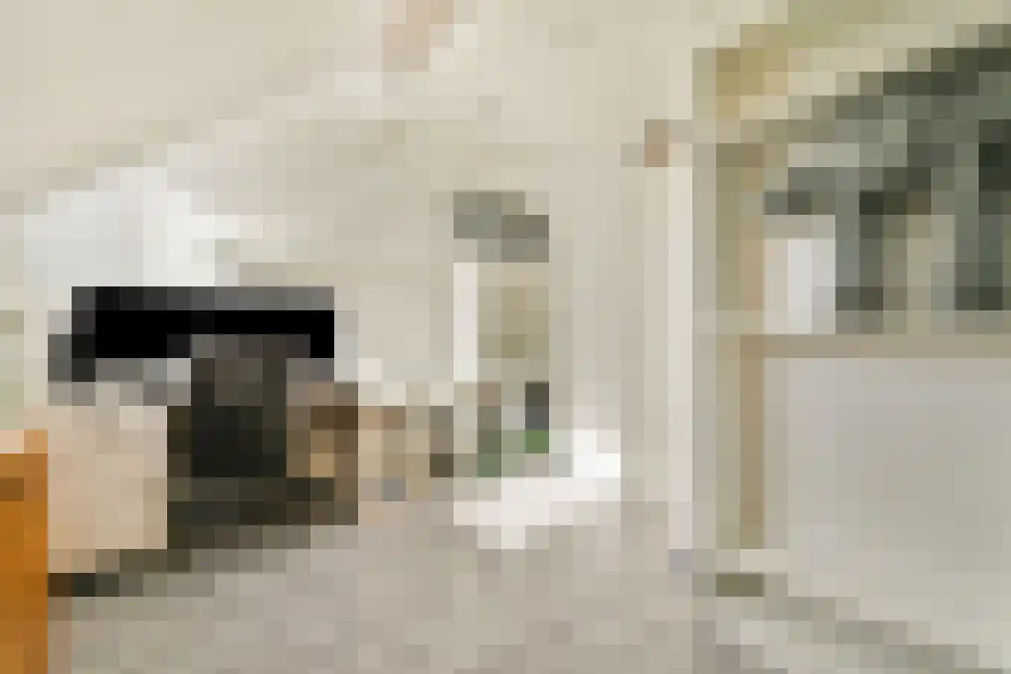 Vondelstraat 78 Dordrecht thumbnail 19
