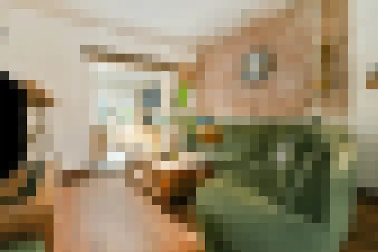 Vondelstraat 78 Dordrecht thumbnail 8