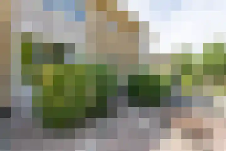 Vondelstraat 8 Brunssum thumbnail 36