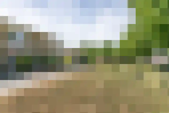 Vondelstraat 8 Brunssum thumbnail 37