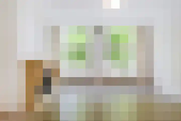Vondelstraat 8 Den Haag thumbnail 6