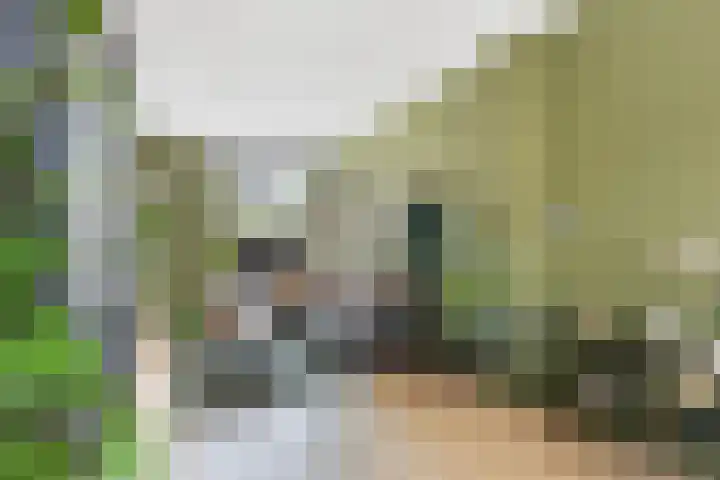 Vondelstraat 8 Dordrecht thumbnail 5