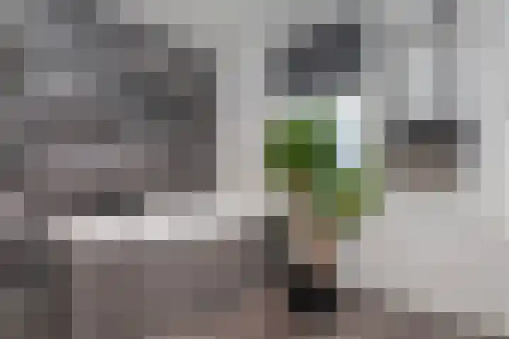 Vondelstraat 8 Gouda thumbnail 29