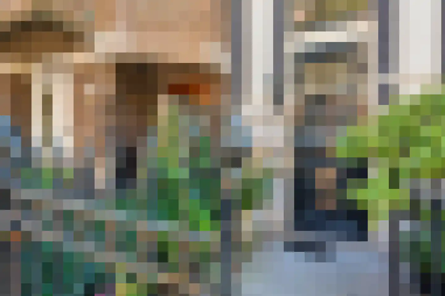 Vondelstraat 9 1 Amsterdam thumbnail 4