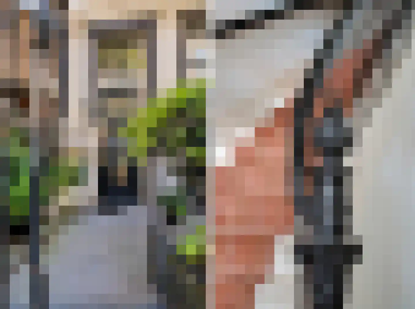 Vondelstraat 9 1 Amsterdam thumbnail 5