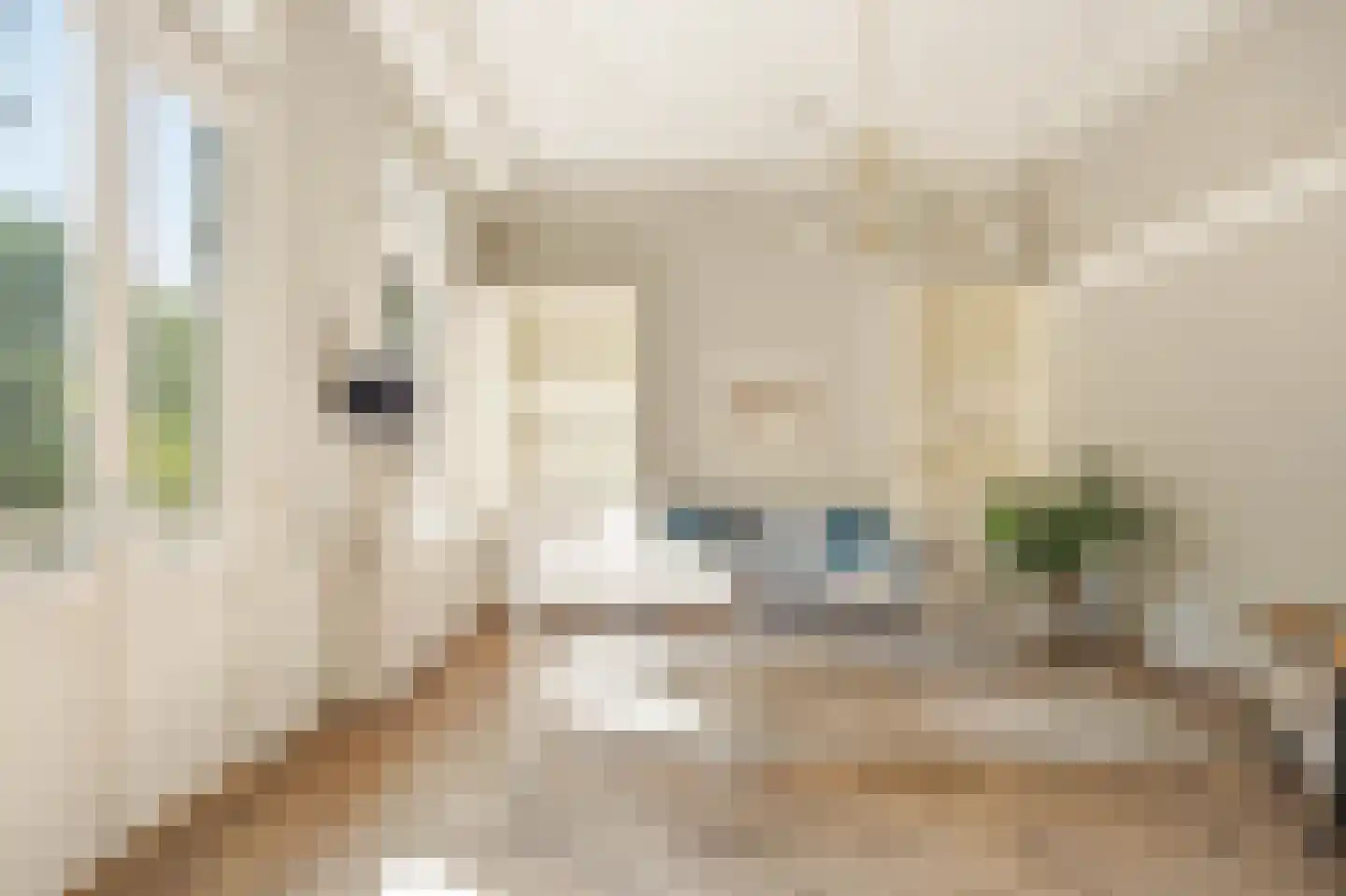 Vondelstraat 9 1 Amsterdam thumbnail 8
