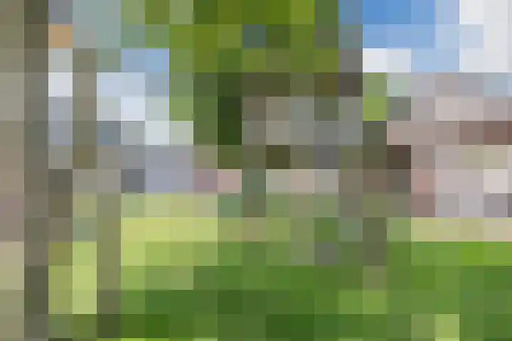 Vondelstraat 9 Lichtenvoorde thumbnail 39