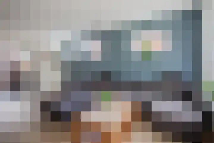 Vondelstraat 9 Lichtenvoorde thumbnail 5