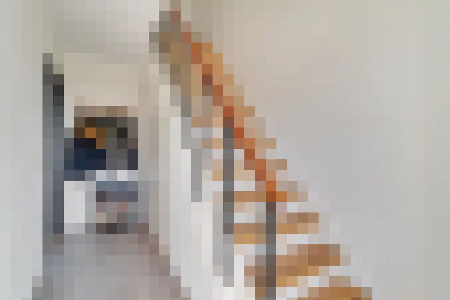 Vondelstraat 9 Nijverdal thumbnail 16