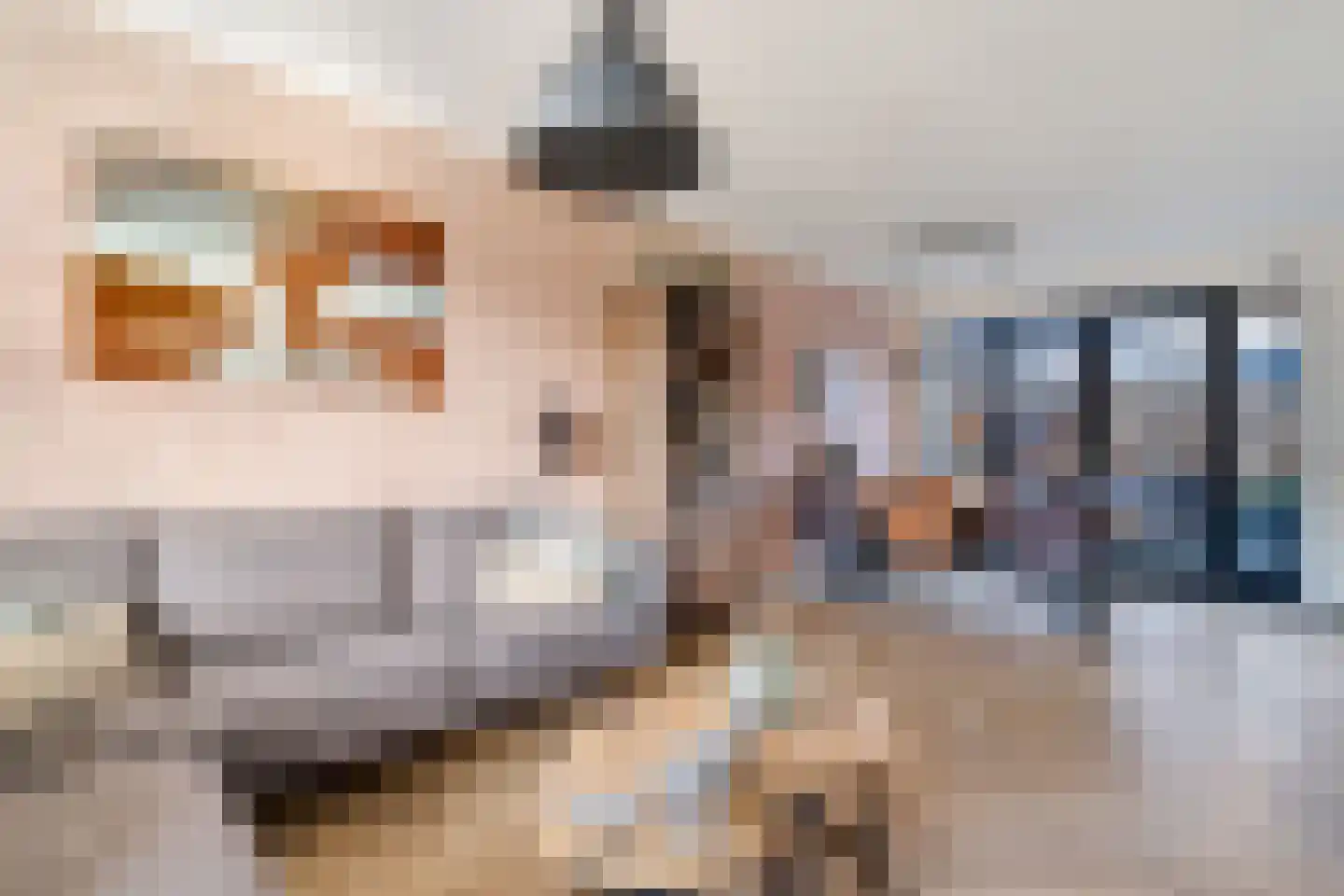 Vondelstraat 9 Nijverdal thumbnail 7