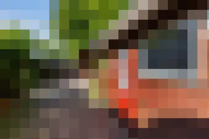Vondelstraat 9 Putten thumbnail 33
