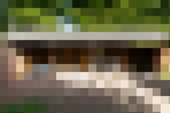 Vondelstraat 9 Putten thumbnail 36