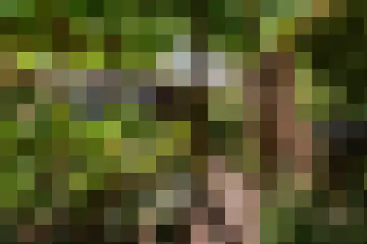Vondelstraat 9 Putten thumbnail 37