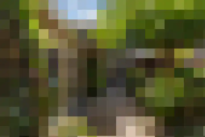 Vondelstraat 9 Putten thumbnail 38