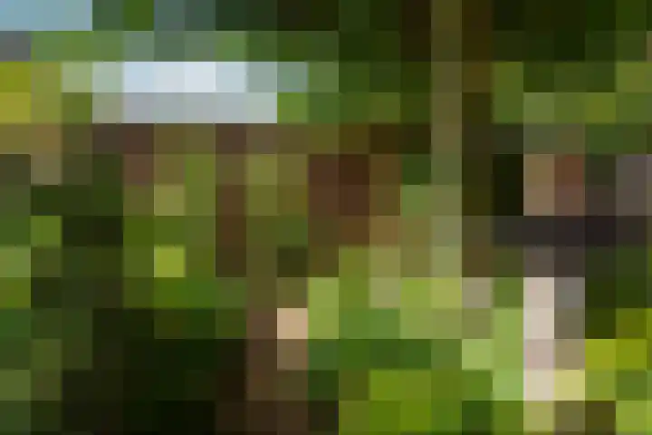 Vondelstraat 9 Putten thumbnail 39