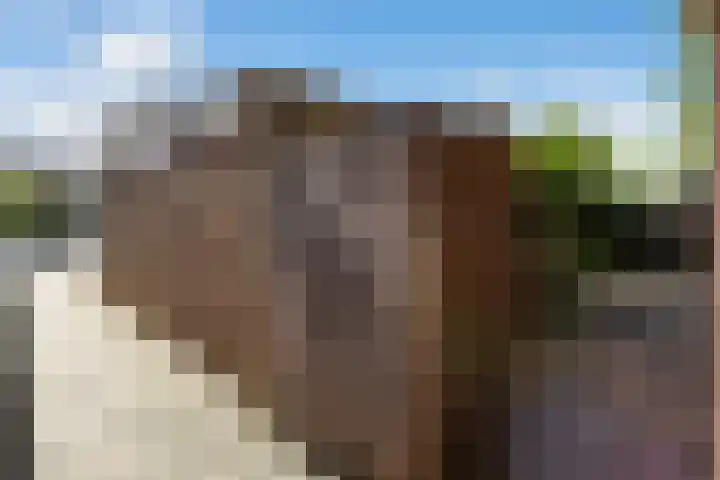 Vondelstraat 9 Putten thumbnail 45