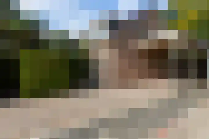 Vondelstraat 9 Putten thumbnail 46
