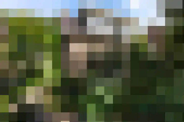 Vondelstraat 9 Putten thumbnail 48