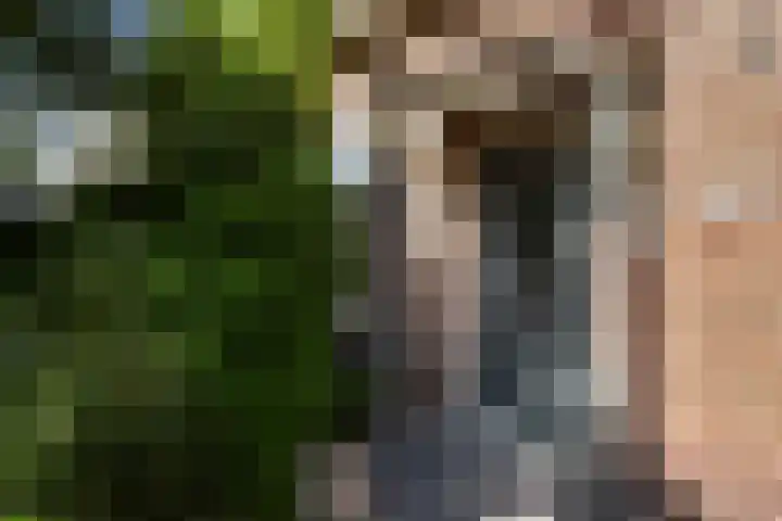 Vondelstraat 9 Putten thumbnail 49