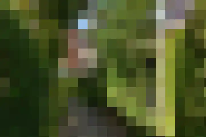 Vondelstraat 9 Putten thumbnail 50