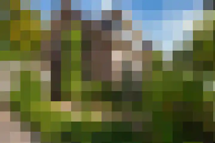 Vondelstraat 9 Putten thumbnail 51