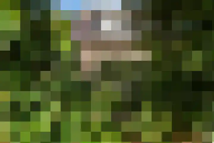 Vondelstraat 9 Putten thumbnail 52