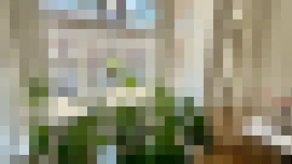 Vondelstraat 91 Den Haag thumbnail 6