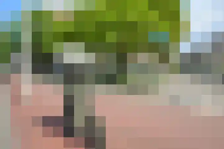 Vondelstraat 92 Den Haag thumbnail 55