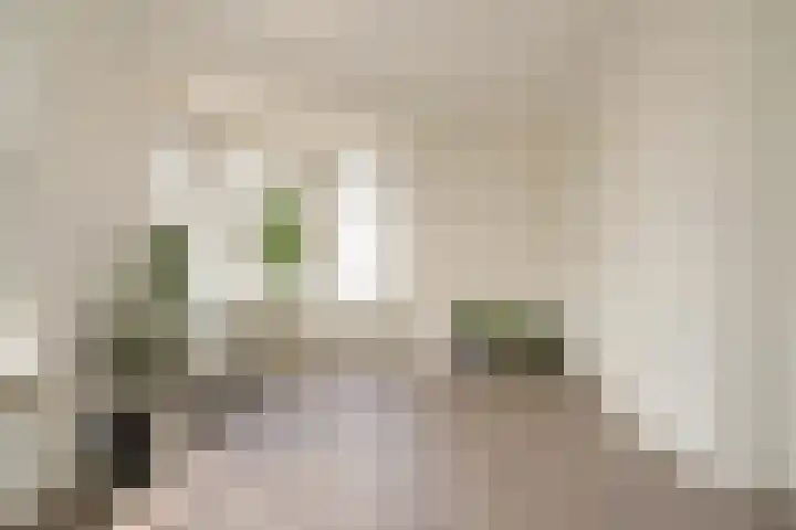 Vondelstraat 92 Den Haag thumbnail 8