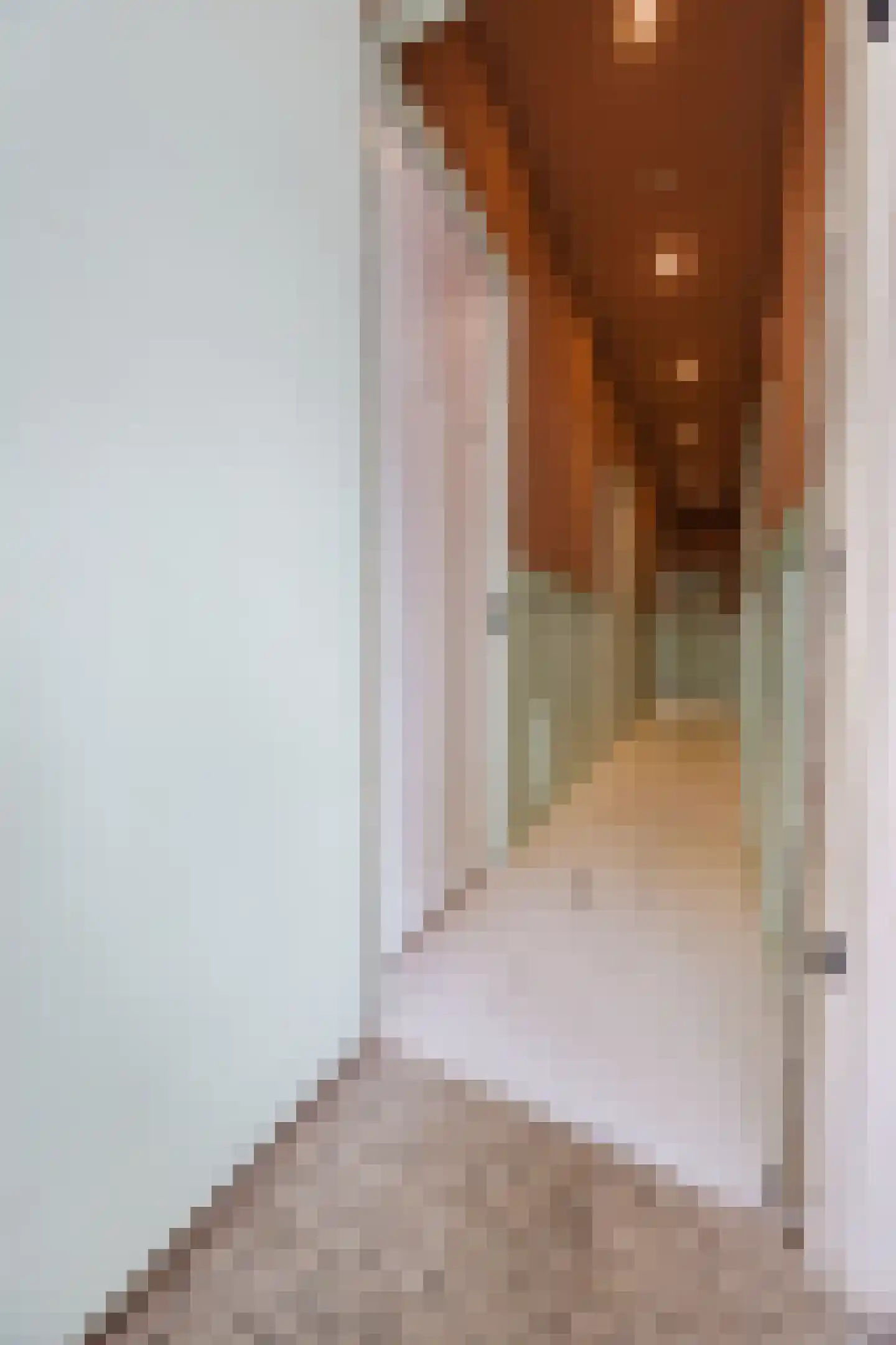 Vondelstraat 94 Den Haag thumbnail 8
