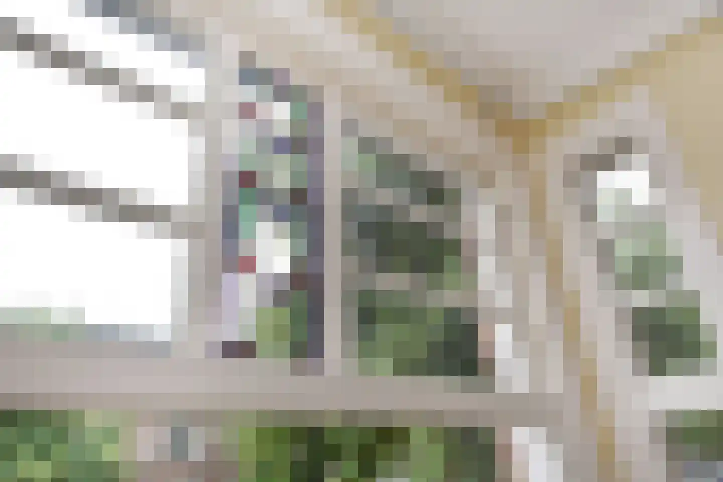 Vondelstraat 95 Den Haag thumbnail 12