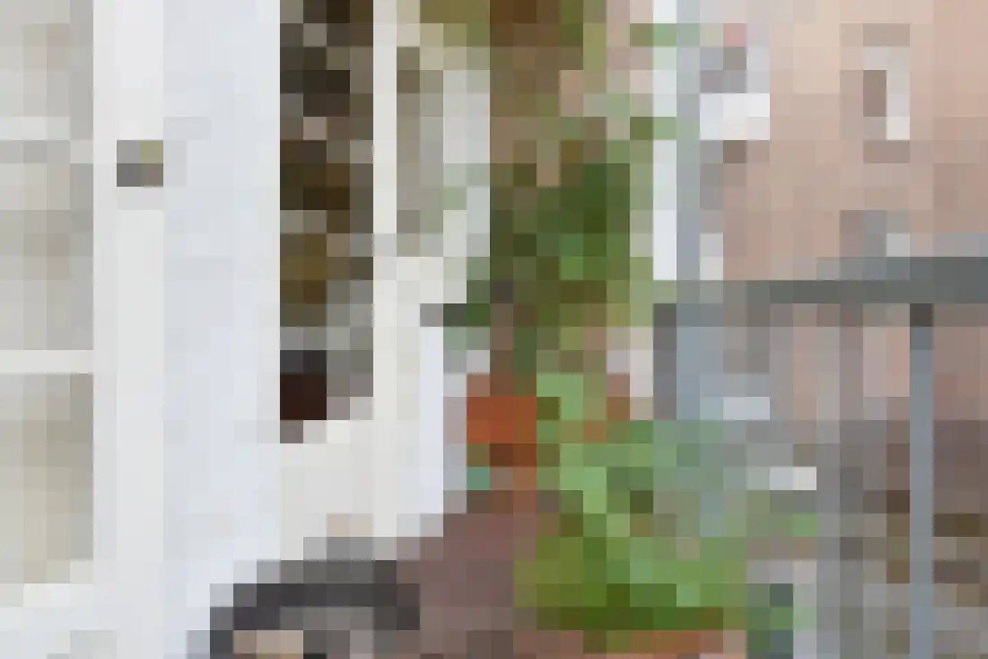 Vondelstraat 95 Den Haag thumbnail 23