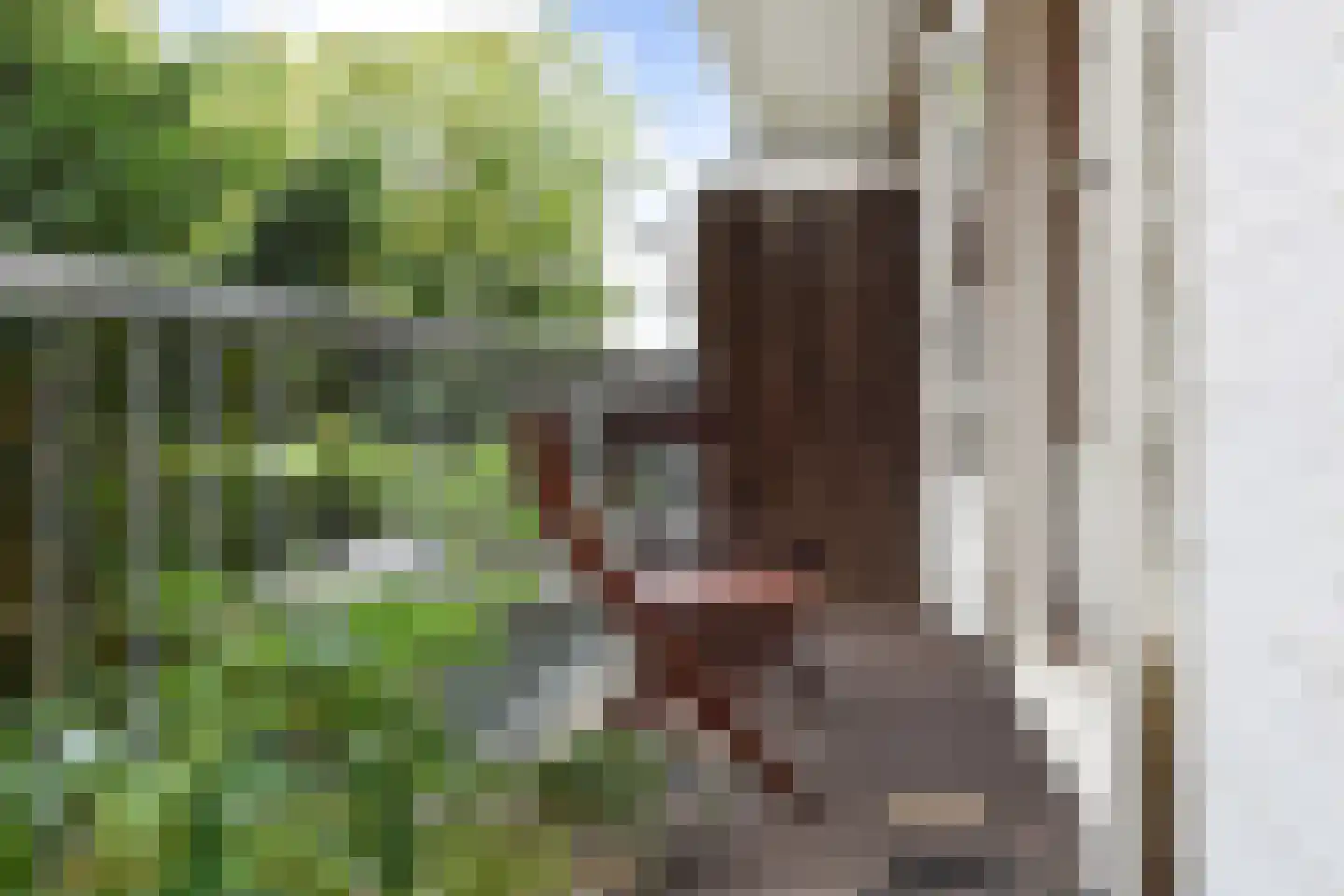 Vondelstraat 95 Den Haag thumbnail 24
