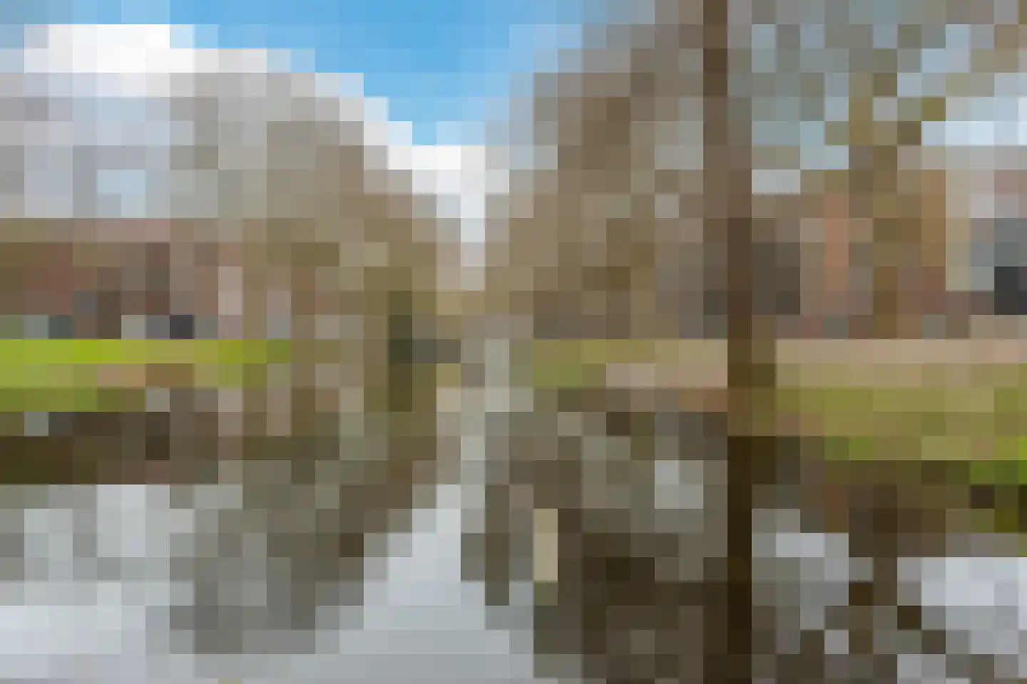 Vondelweg 103 A Rotterdam thumbnail 31