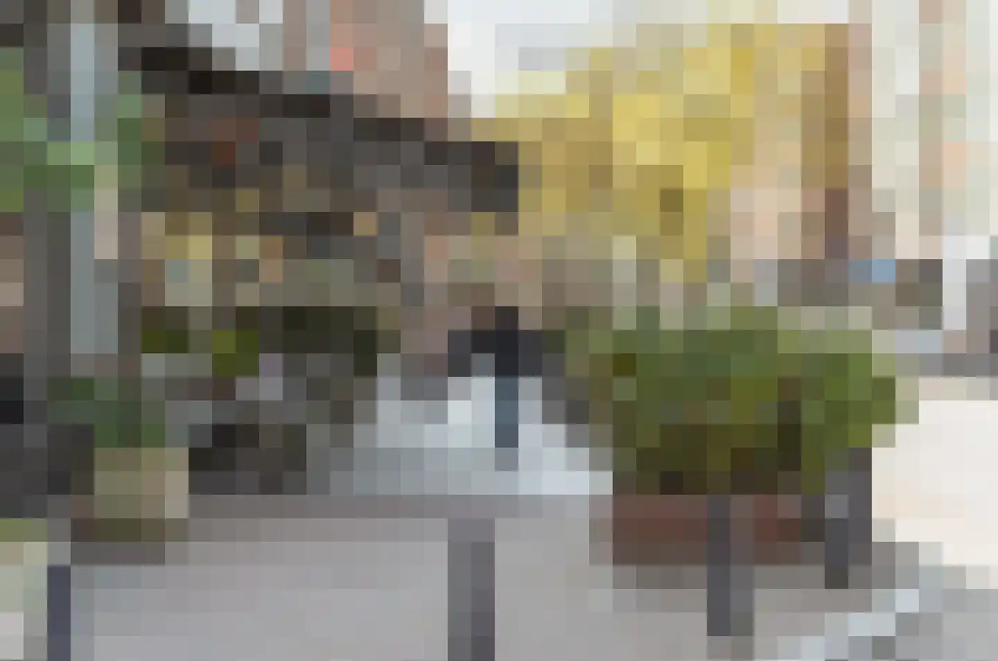 Vondelweg 15 Rotterdam thumbnail 42