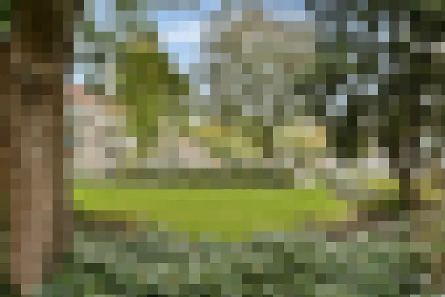 Vondelweg 264 Rotterdam thumbnail 24