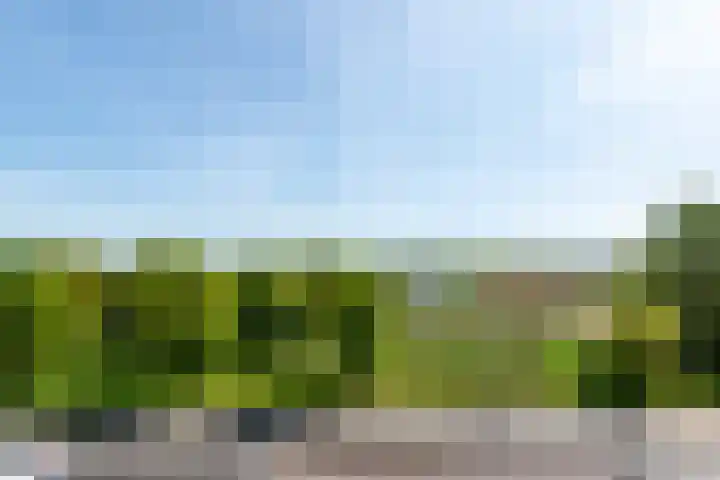 Vondelweg 28 Haarlem thumbnail 26