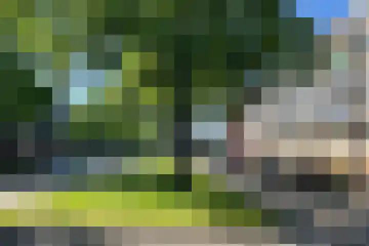 Vondelweg 3 B Rotterdam thumbnail 24
