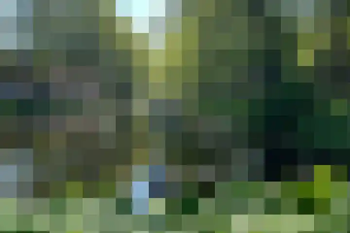 Vondelweg 3 B Rotterdam thumbnail 27