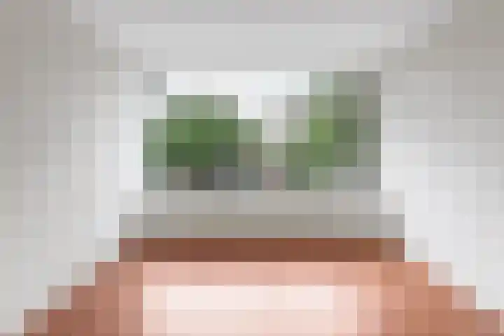 Vondelweg 3 B Rotterdam thumbnail 5