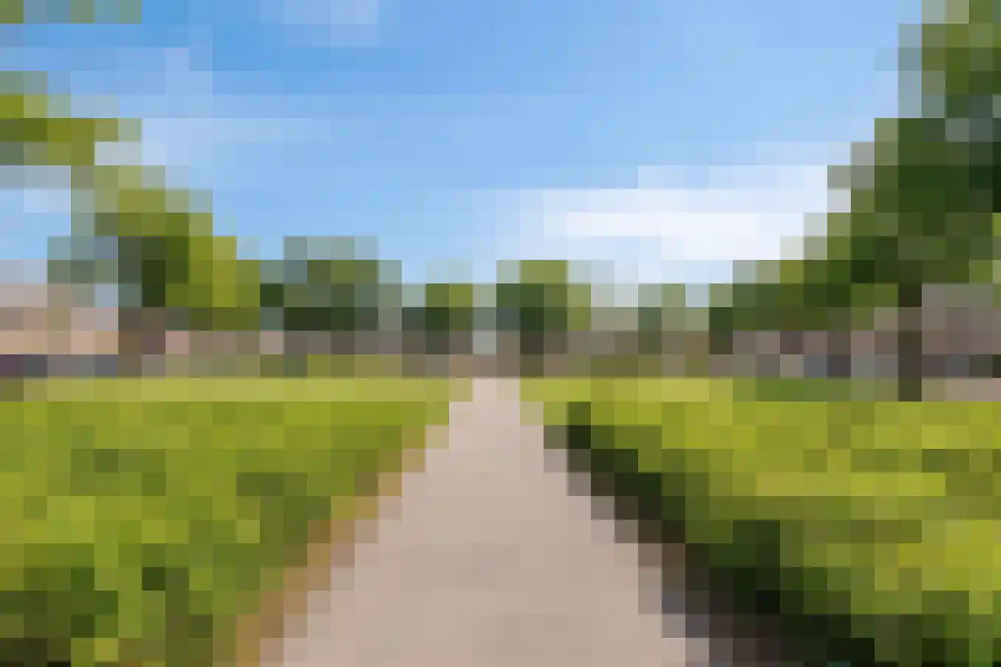 Vondelweg 32 RD Haarlem thumbnail 38