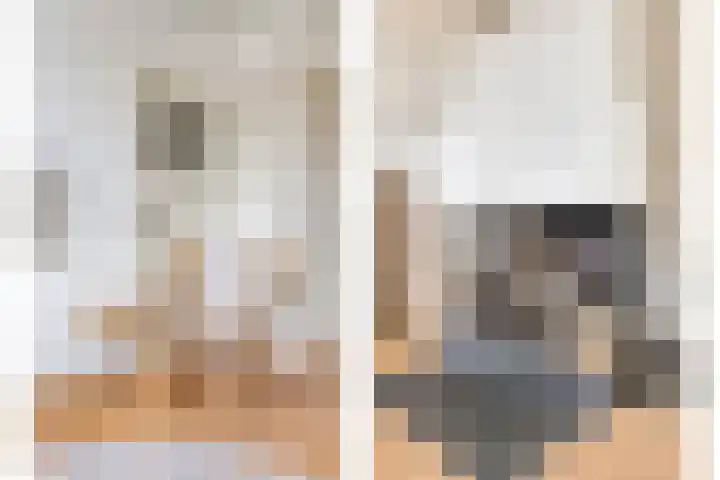 Vondelweg 32 RD Haarlem thumbnail 8