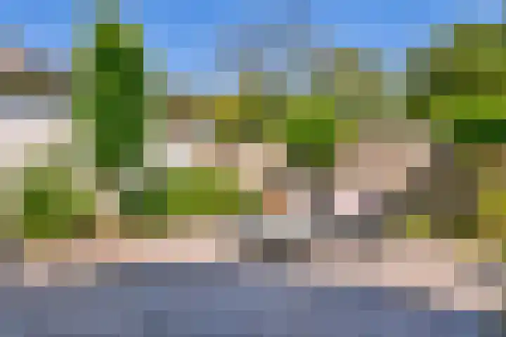 Vondelweg 62 ZW Haarlem thumbnail 33