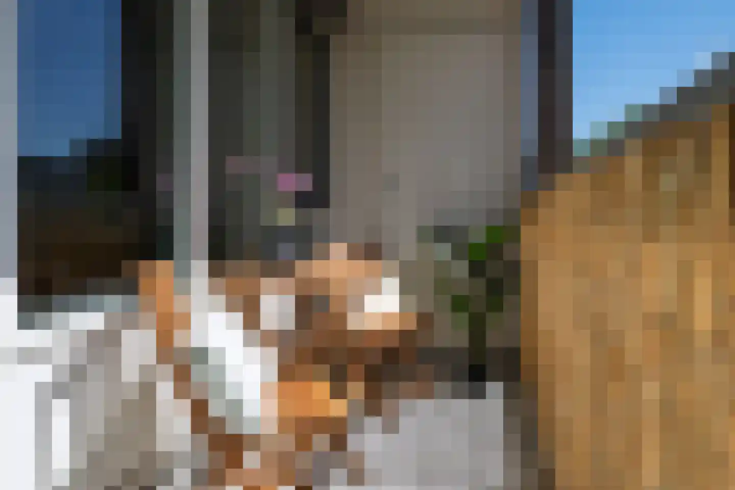 Vondelweg 66 Rotterdam thumbnail 16