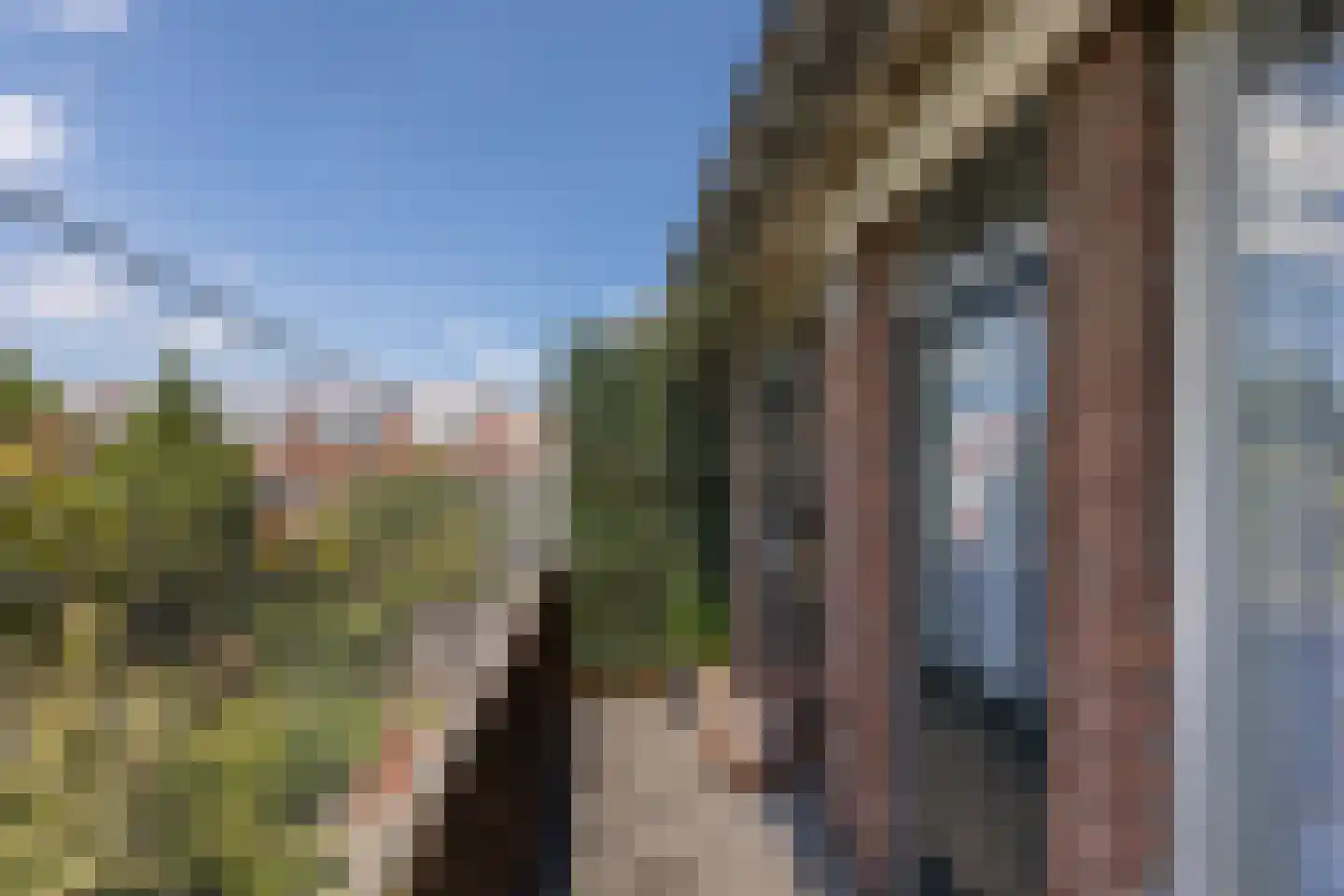 Vondelweg 68 Haarlem thumbnail 24