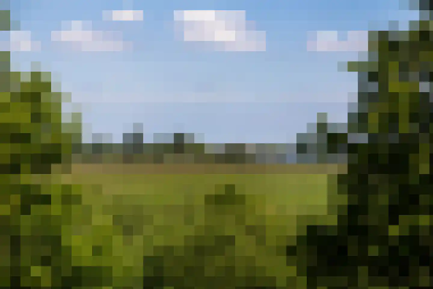 Vondelweg 68 Haarlem thumbnail 26